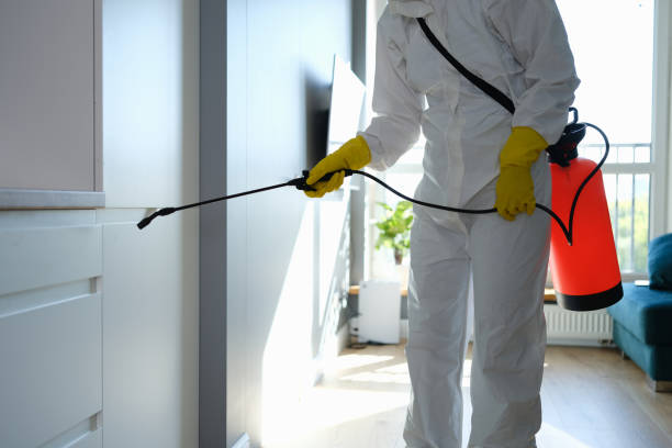 Localized Mold Remediation (e.g., coastal areas, humid climates)